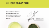 【6/15〜】微発酵させた香り高い萎凋（いちょう）茶「牧之原あさつゆ 2022」の販売開始